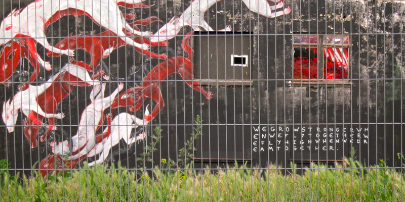 Hund grafitti 800 400