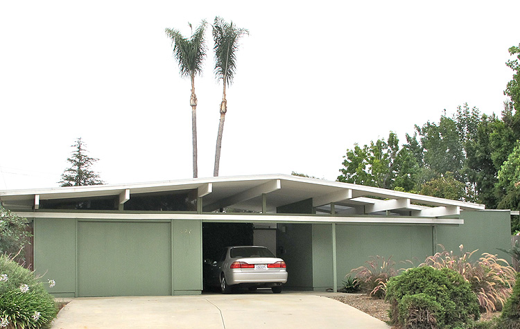 EIchler white line palms 750